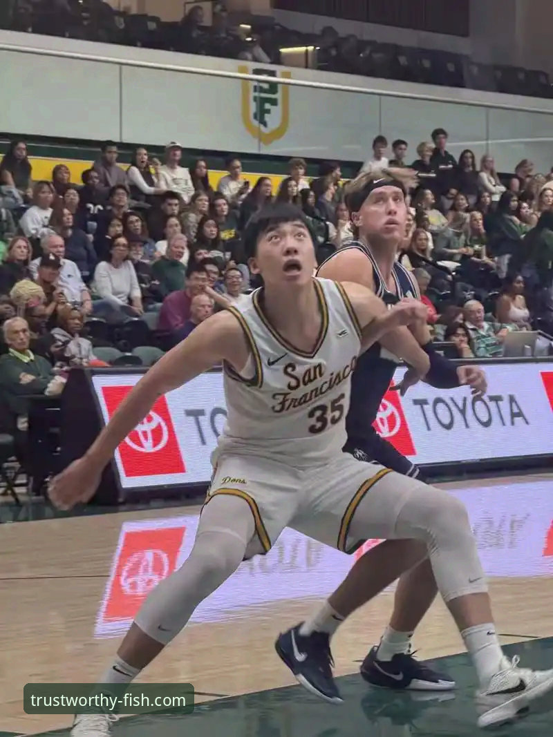 王俊杰爆发 vs 澳大利亚男篮：中国男篮杭州站胜利背后的深度分析，乐鱼体育平台用户怎么看？