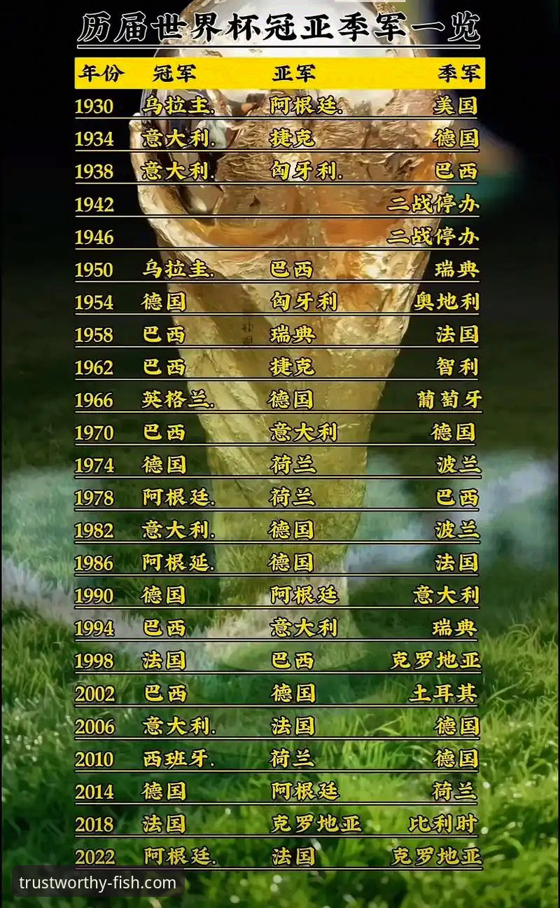 资深用户分享：乐鱼体育平台上的世界杯10大球星深度解读
