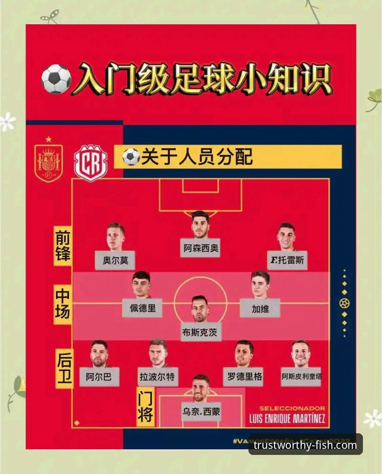 资深用户分享：乐鱼体育平台上的世界杯10大球星深度解读